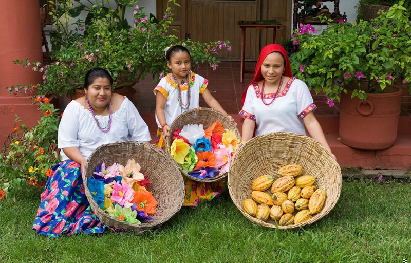 Descubre  Hacienda Cacaotera Jesús María
